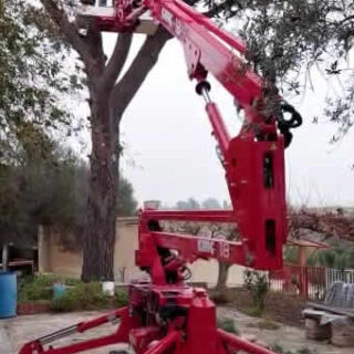 Piattaforma aerea ragno a noleggio